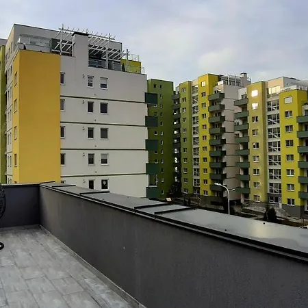 Leo Penthouse Coresi Mountain View Вілла