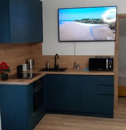 Leo Penthouse Coresi Mountain View