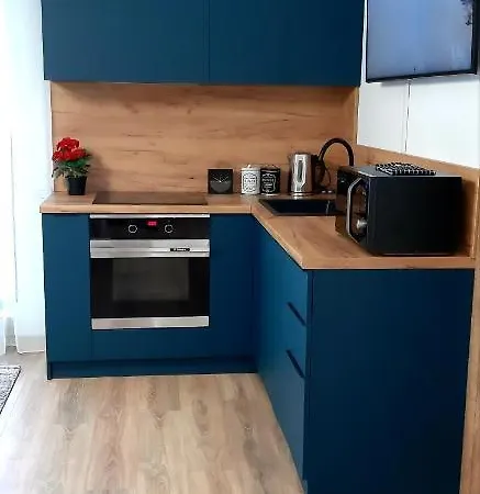 Вілла Leo Penthouse Coresi Mountain View *