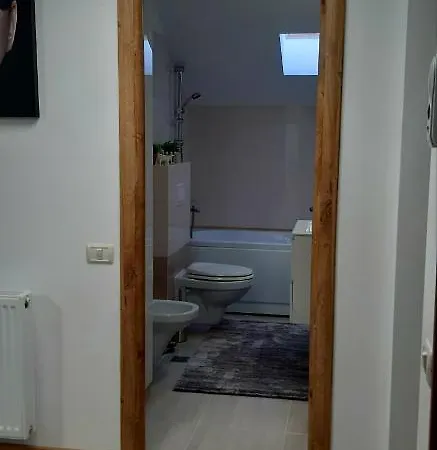 Leo Penthouse Coresi Mountain View Брашов
