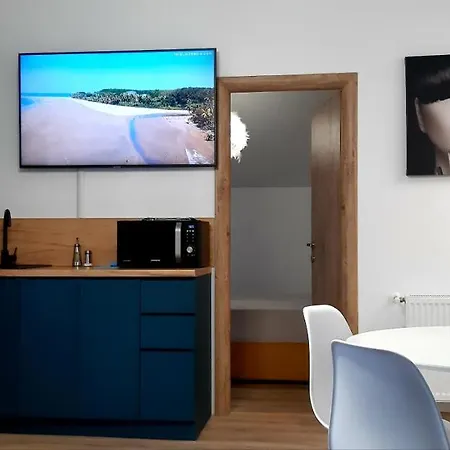 Leo Penthouse Coresi Mountain View Вілла