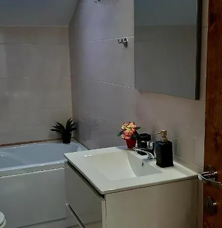 Leo Penthouse Coresi Mountain View Вілла Брашов