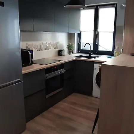 Leo Penthouse Coresi Mountain View Брашов