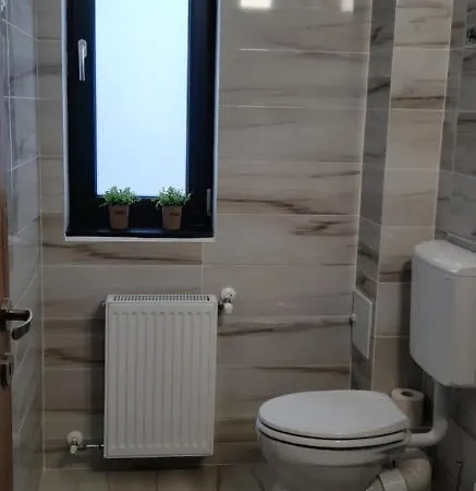 Leo Penthouse Coresi Mountain View Вілла Брашов