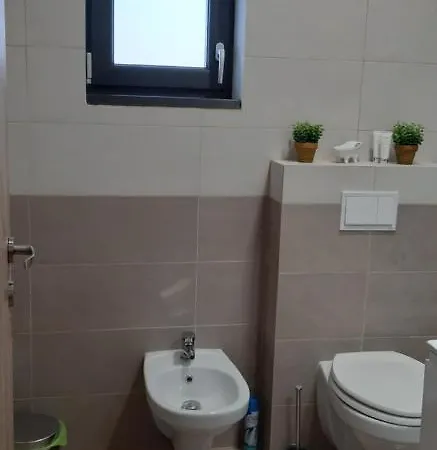 Leo Penthouse Coresi Mountain View