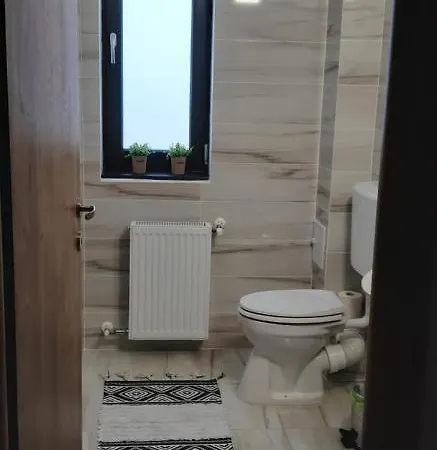 Leo Penthouse Coresi Mountain View