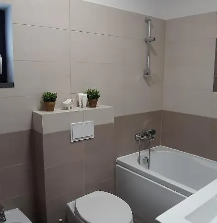 Leo Penthouse Coresi Mountain View